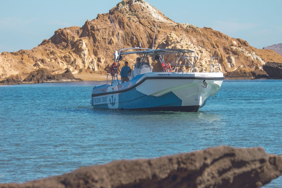 Fornells: 3-Hour Boat Tour Along Menorcan Coast - Customer Reviews