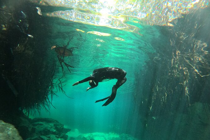 Freediving Discovery Day in Tulum! - Reviews, Ratings, and Pricing Details