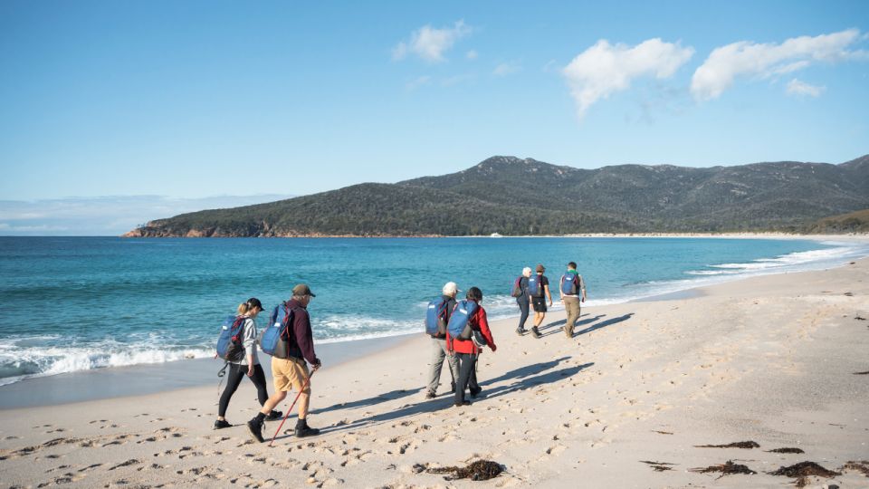 Freycinet: 5.5-Hr Small Group Guided Walking Experience - Booking Details