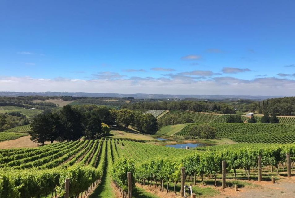 From Adelaide: Divine Wine Tour in the Adelaide Hills - Booking Information