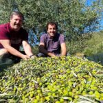 2 from athens olive oil tasting and olive grove experience From Athens: Olive Oil Tasting and Olive Grove Experience