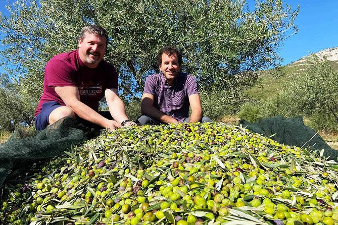 2 from athens olive oil tasting and olive grove From Athens: Olive Oil Tasting and Olive Grove Experience