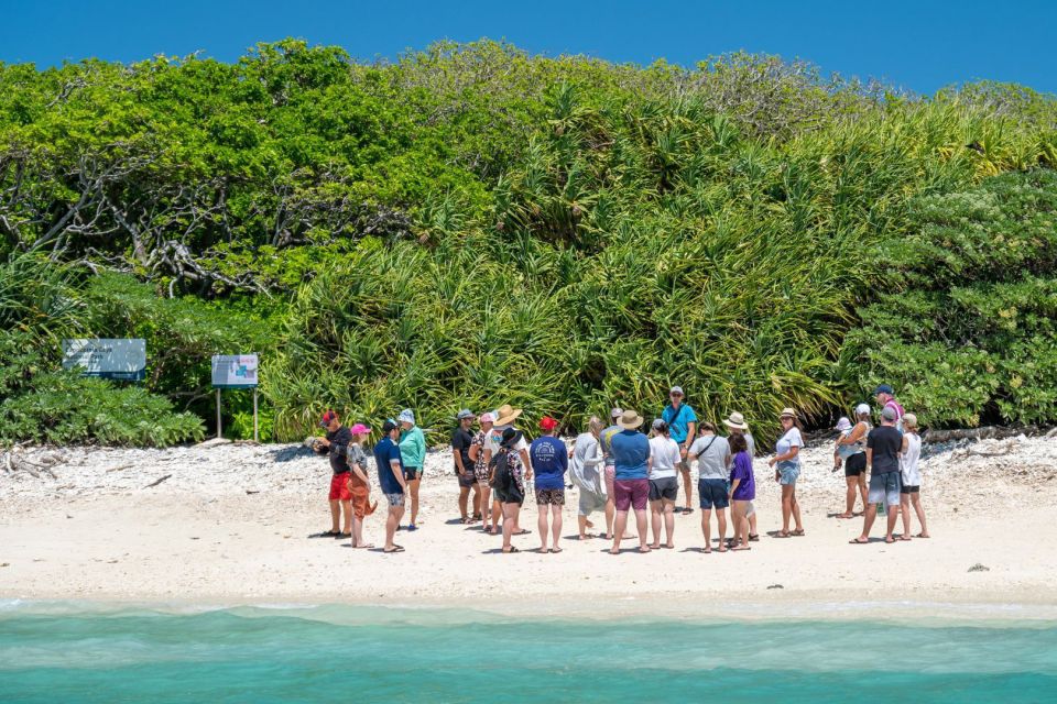 From Bundaberg: Barrier Reef & Lady Musgrave Island Day Tour - Experience Highlights