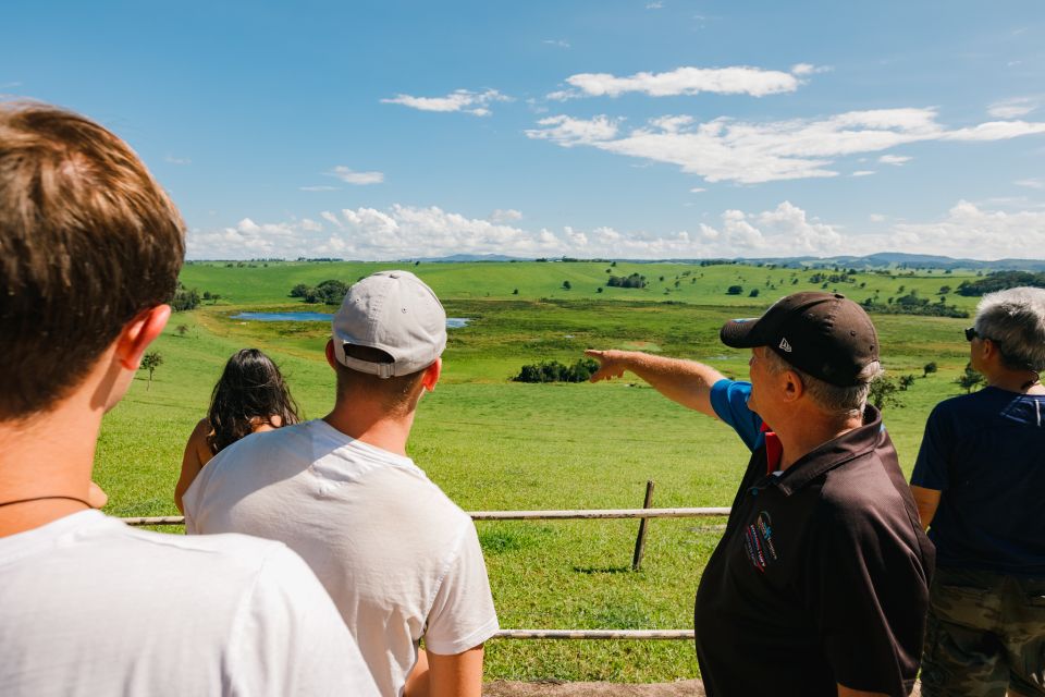 From Cairns: Atherton Tableland Wilderness Tour With Lunch - Tour Highlights