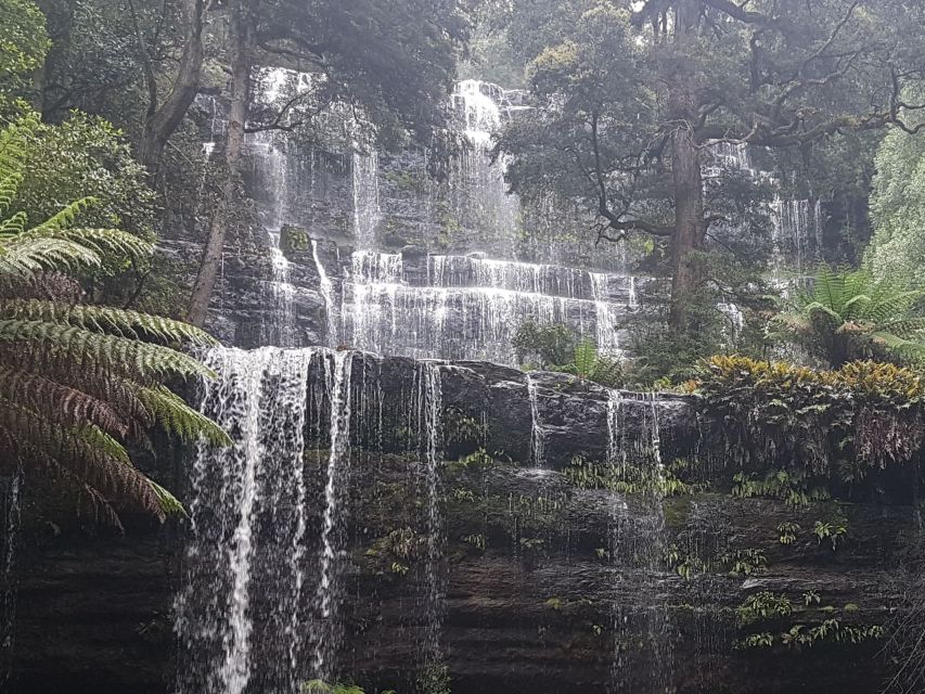 From Hobart: 2 Day Cradle Mountain Tour - Experience Highlights