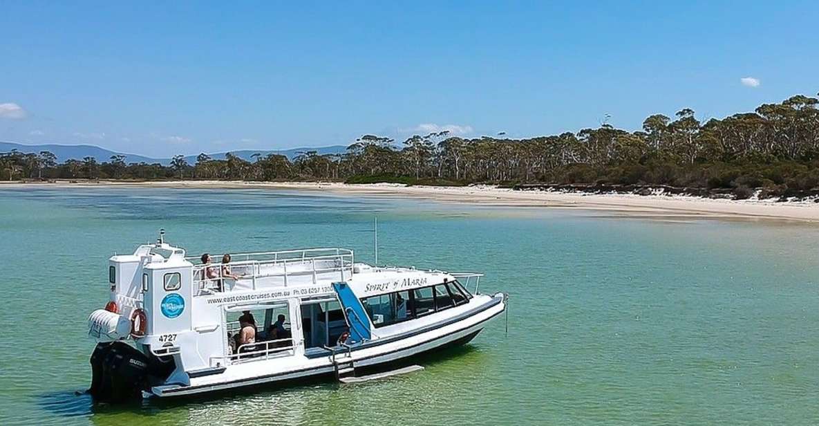 From Hobart: Day Trip to Maria Island With Hotel Pickup - Inclusions