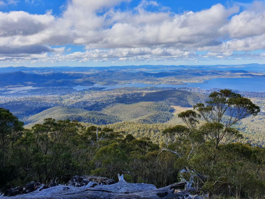 From Hobart: Mt Wellington Morning Walking Tour - Itinerary