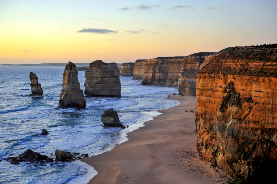 From Melbourne: Great Ocean Road, 12 Apostles, Wildlife Tour - Tour Highlights