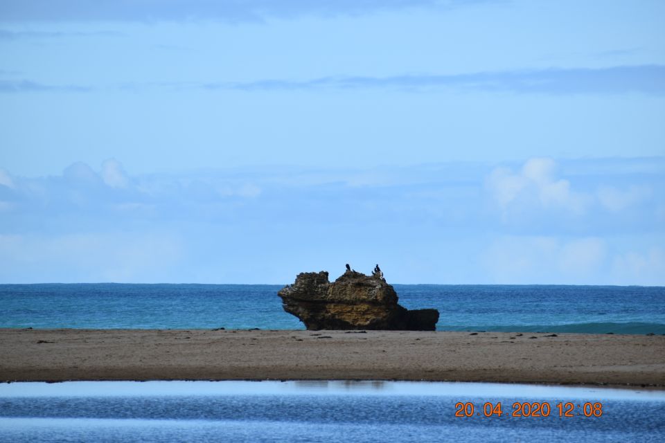 From Melbourne: Great Ocean Road Private Guided Tour by Car - Experience Highlights