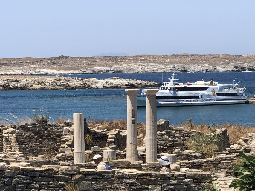 From Naxos: Delos and Mykonos Day Trip With Licensed Guide - Activity Details