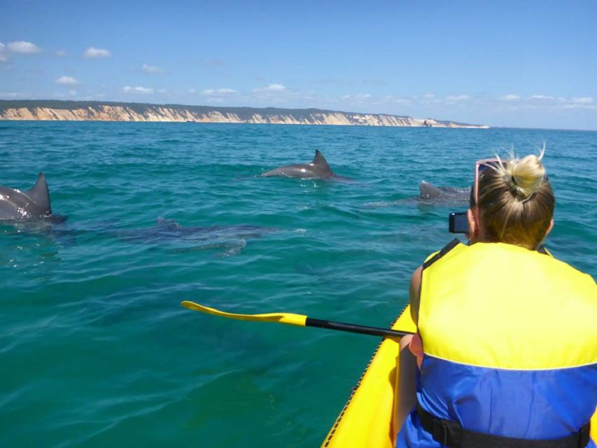 From Noosa: Dolphin Sea Kayaking and Beach 4X4 Tour - Pricing and Duration