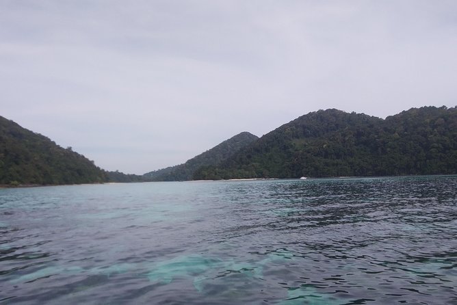 From Phuket: Surin Island Snorkeling Tour - Marine Life Exploration