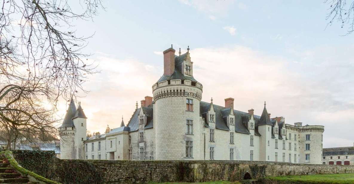 From Poitiers: Private Visit to the Castle of Dissay - Booking Information
