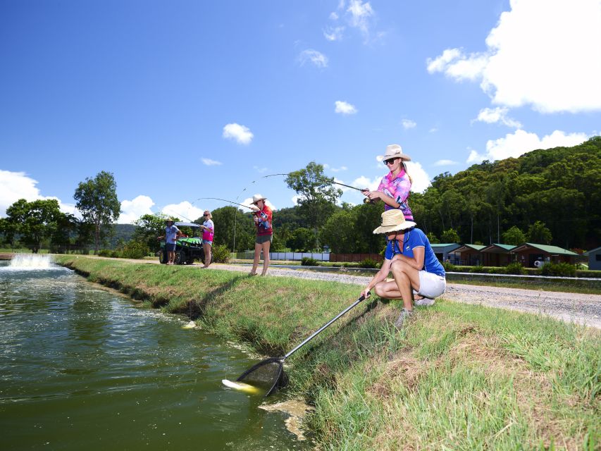 From Port Douglas: Barramundi Pond Fishing With Lunch - Activity Description