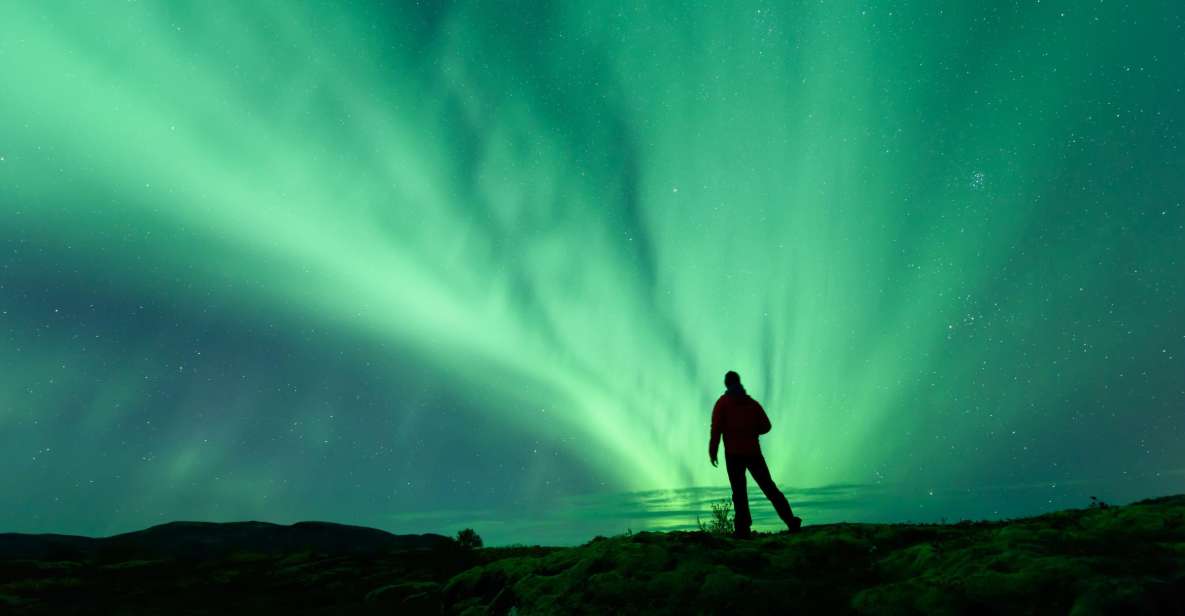 From Reykjavik: Blue Lagoon and Northern Lights Tour - Experience Highlights