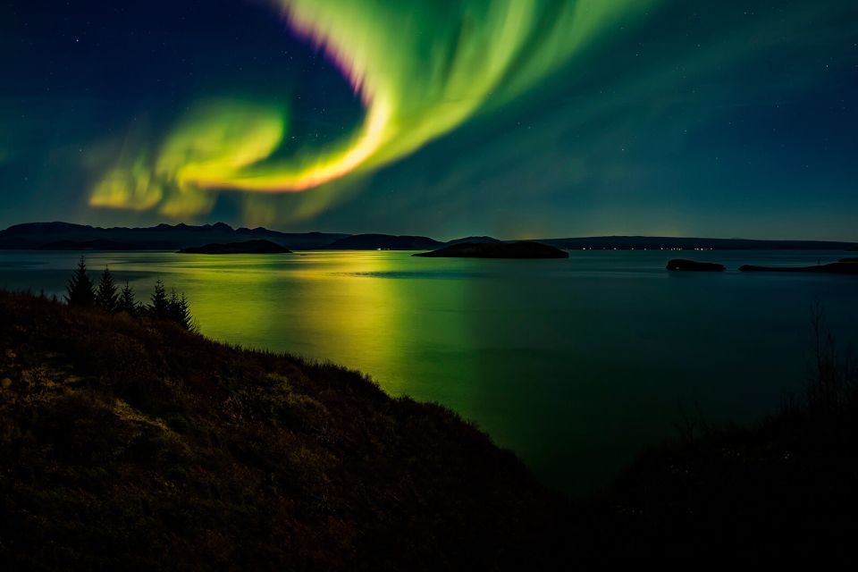 From Reykjavik: Northern Lights Tour - Customer Reviews of the Tour