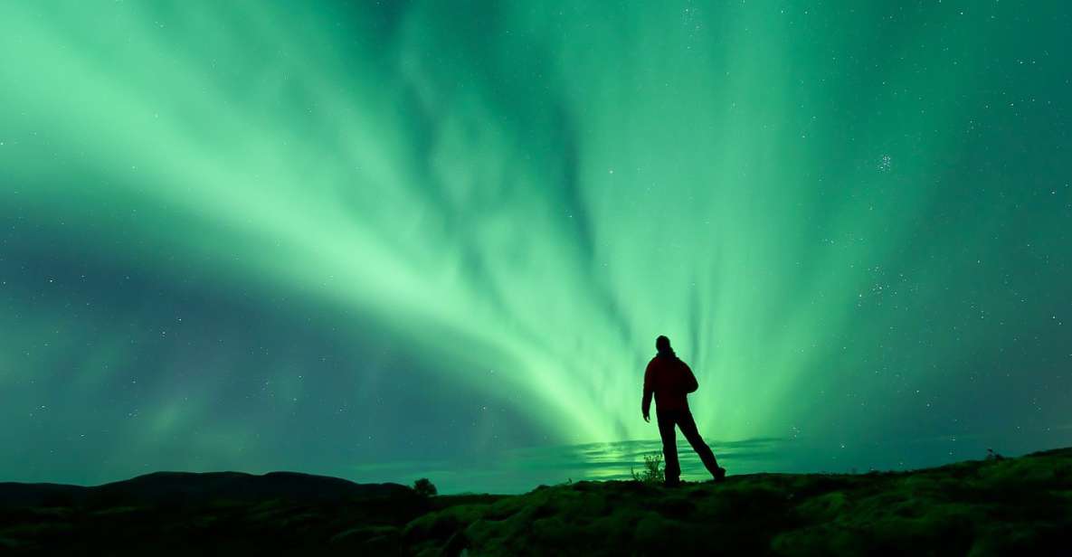 From Reykjavik: Northern Lights Tour - Experience Highlights and Tour Inclusions