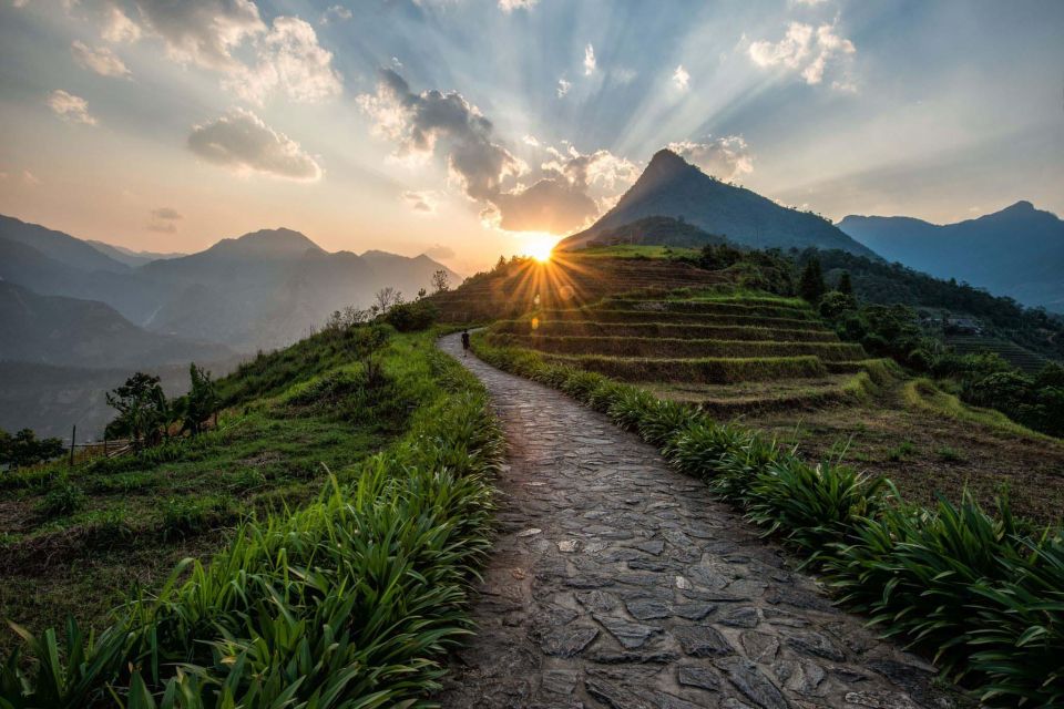 From Sapa : 1 Day Amazing Sapa Trek to Terrace Rice Field - Scenic Trekking Routes