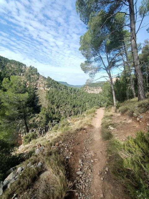 From Valencia: Montanejos Hiking Day Trip With Tourleader - Activity Description