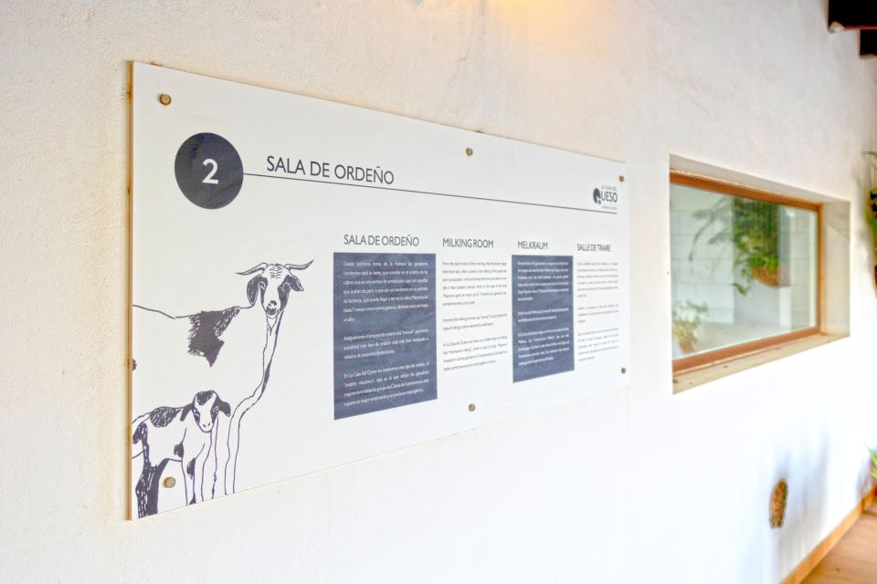 Fuerteventura: Artisan Goat's Cheese Making at Local Farm - Experience Highlights