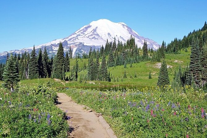 Full-Day Mt Rainier National Park Private Tour in SUV - Tour Highlights and Attractions