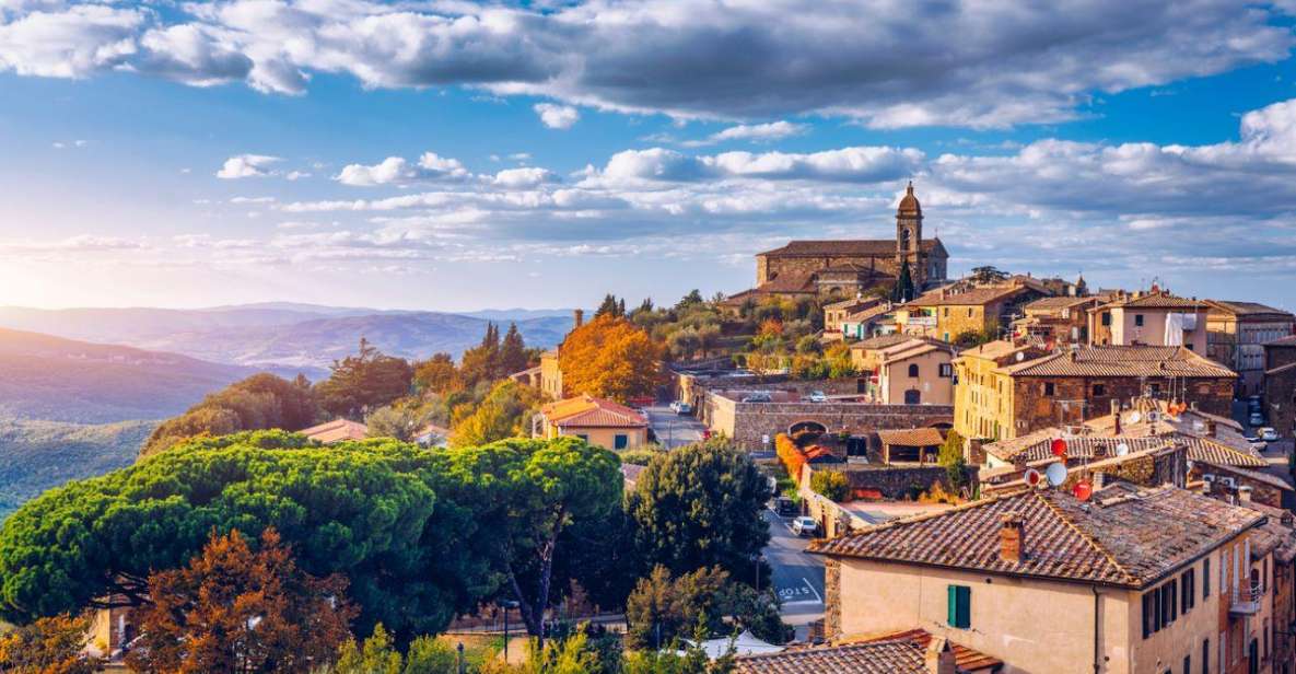 Full-Day Private Wine Tour in Montalcino - Itinerary Highlights