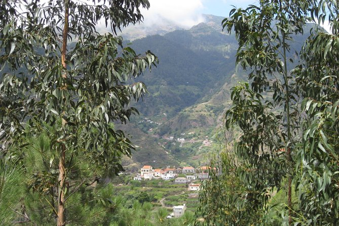 Funchal Small-Group Serra D'Agua Valley Walk - Inclusions Provided