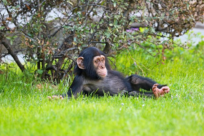 FYZOO, Faruk Yalcin Zoo and Botanical Park - Darica - Zoo and Botanical Park Overview