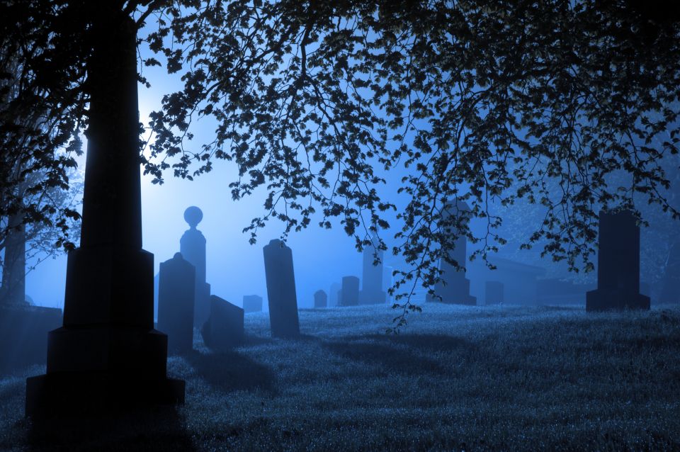 Galveston: Haunted Cemetery Tour - Accessibility and Participant Limit