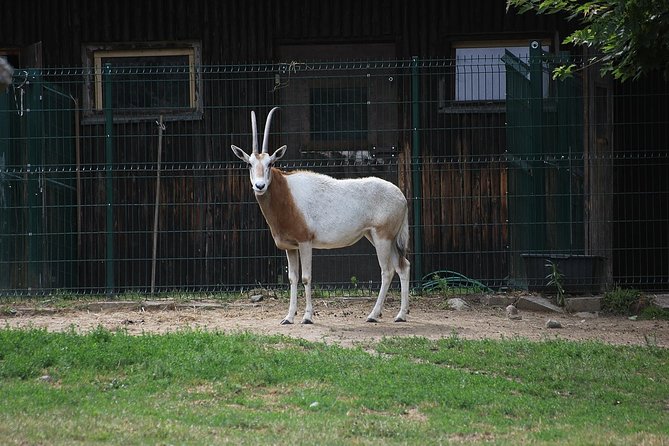 Gdansk: Oliwa Zoo With Private Transport And Tickets