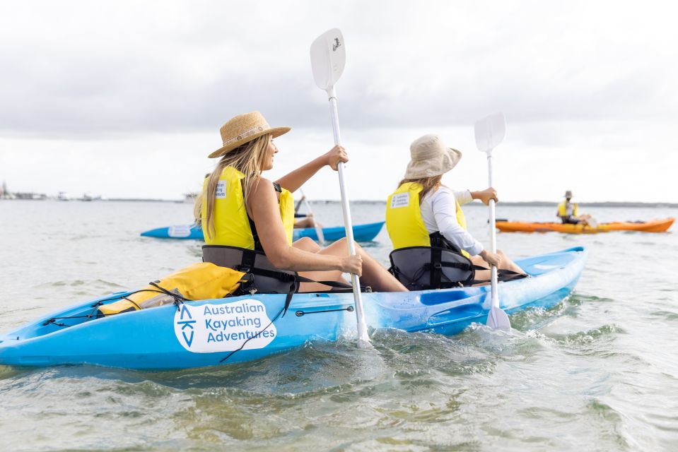 Gold Coast: Kayaking and Snorkeling Guided Tour - Important Reminders