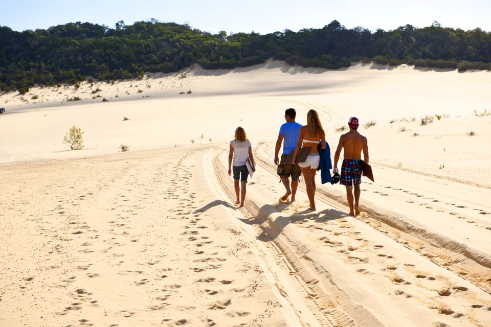 Gold Coast: Tangalooma Desert Safari Day Cruise Transfers - Inclusions