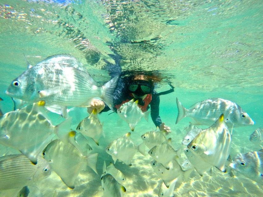 Gold Coast: Wave Break Island Kayaking & Snorkeling Tour - Directions