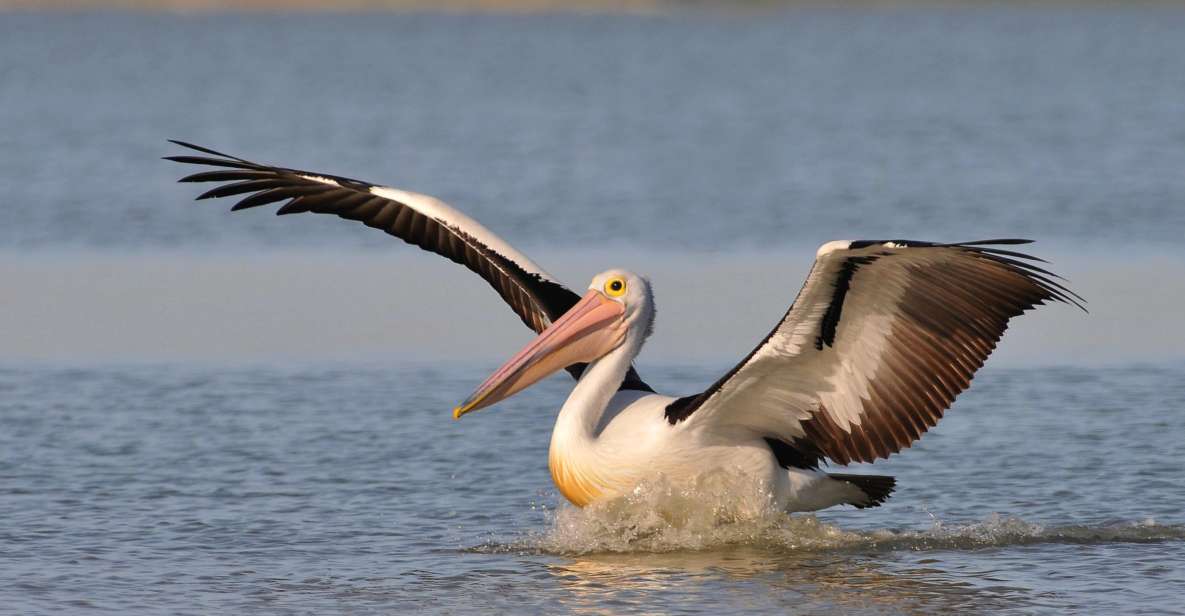 Goolwa: Murray River Cruise - Reviews