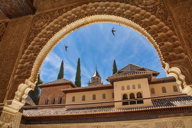 Granada Walking Tour - A Journey Through Time and Art - Meeting Point Details