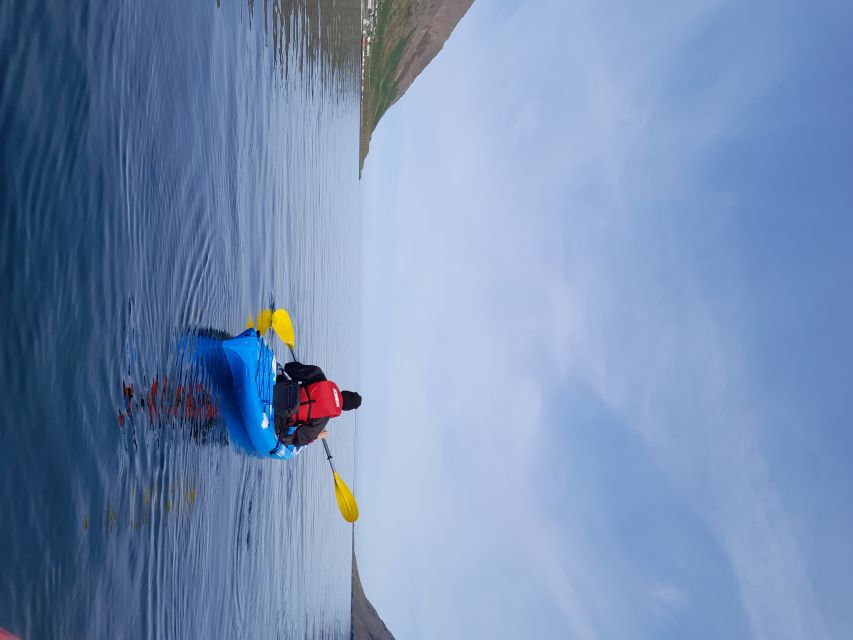Guided Kayak Tour in Siglufjörður / Siglufjordur. - Experience Highlights