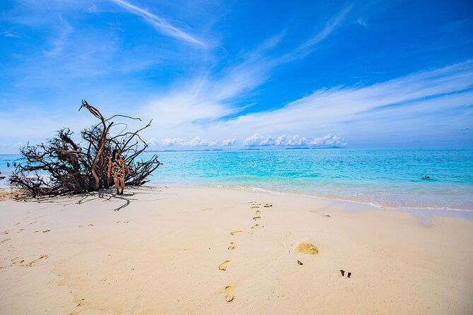 Half Day Bamboo Island Tour By Private Longtail Boat From Phi Phi - Last Words