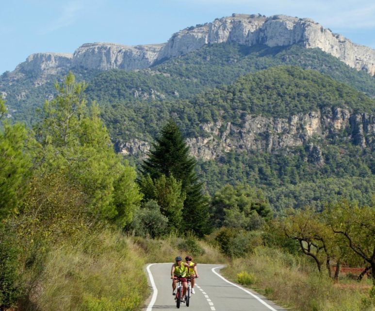 Half-Day Bike Tour From Salou