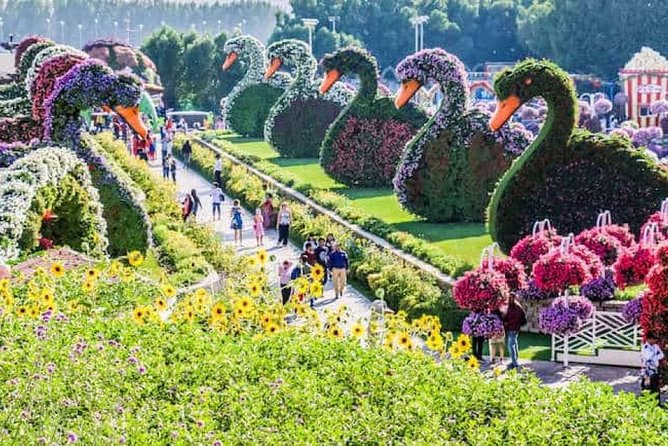 Half Day Dubai City Tour With Dubai Miracle Garden Visit ! - Meeting and Pickup Info