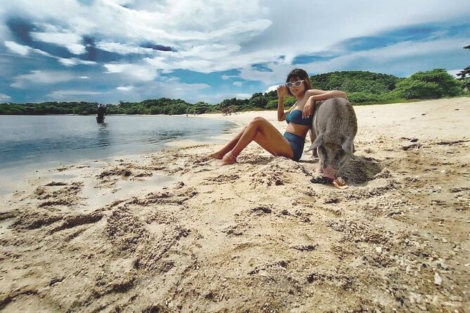 Half-Day Pig Island (Koh Madsum) and Koh Tan Speedboat Tour - Traveler Photos