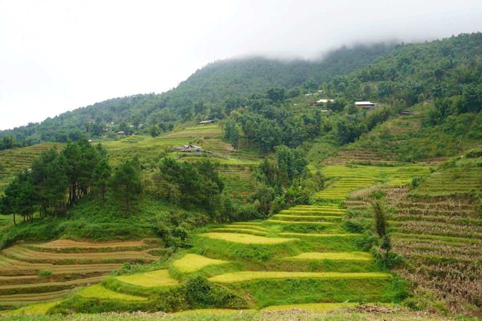 Half Day Sapa Trekking to Visit Lao Chai - Ta Van - Tour Itinerary Overview