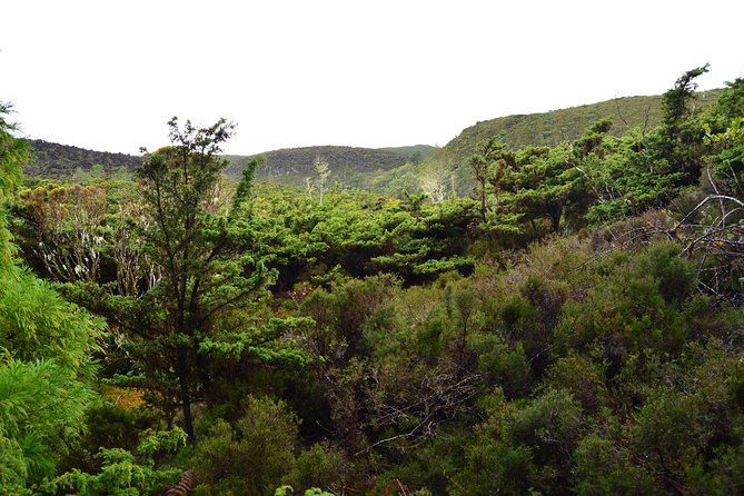 Half-Day Terceira Island Coastal Hike  - Praia Da Vitória - Assistance & Support