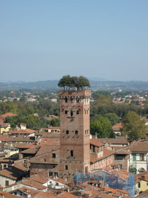 Half-Day Tour to Lucca From Florence - Tour Description