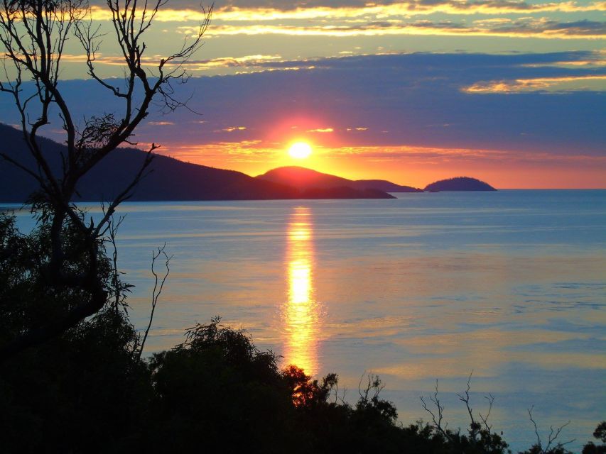 Hamilton Island: Whitsundays Sunset BBQ Dinner Cruise - Experience Highlights