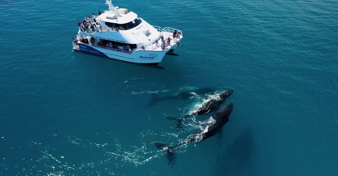 Hervey Bay: Half-Day Whale Watching Experience - Inclusions