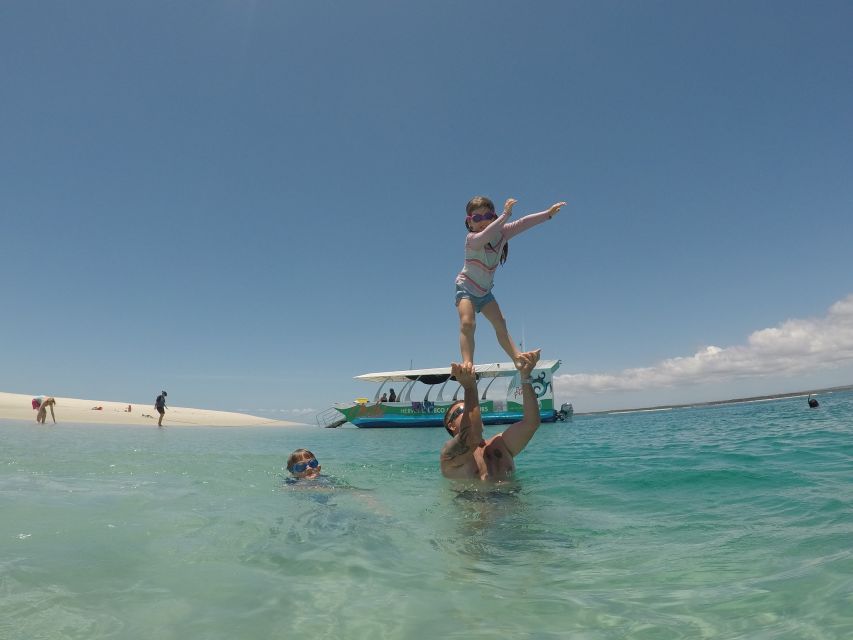 Hervey Bay: Turtle Discovery Eco Tour - Tour Details