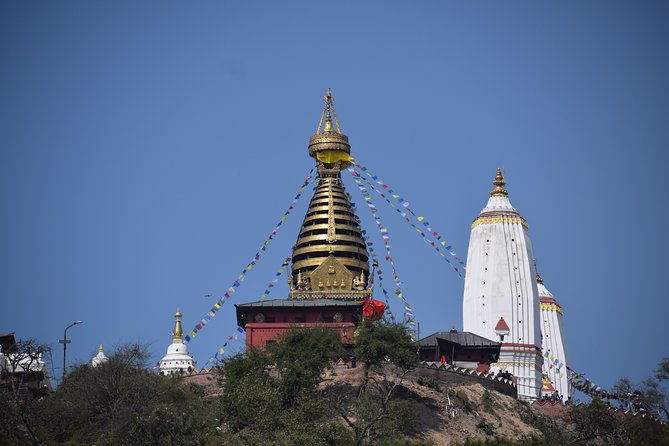 Highlights of Kathmandu Tour - Professional Guided Experience