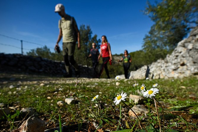 Hiking Dol - Vidova Gora - Booking Information