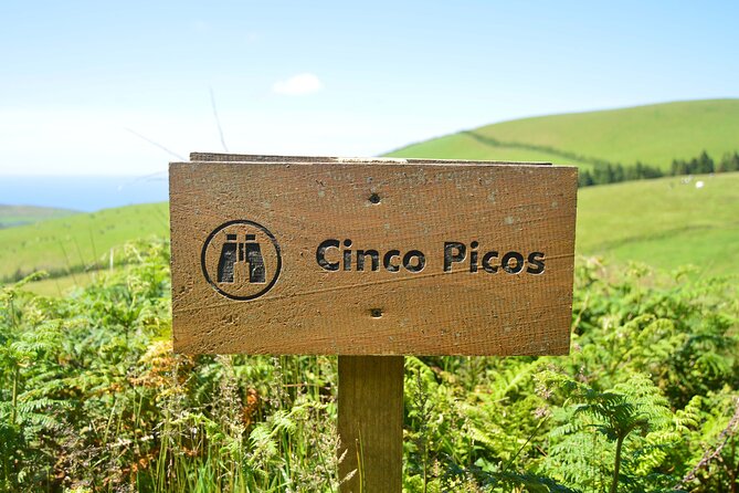 Hiking Trail: Passagem Das Bestas - Terceira Island - Traveler Reviews