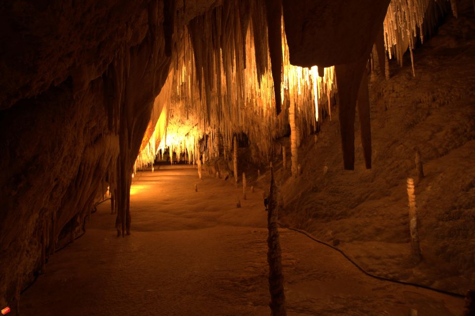 Hobart: Full-Day Tahune Airwalk & Hastings Caves Tour - Customer Reviews